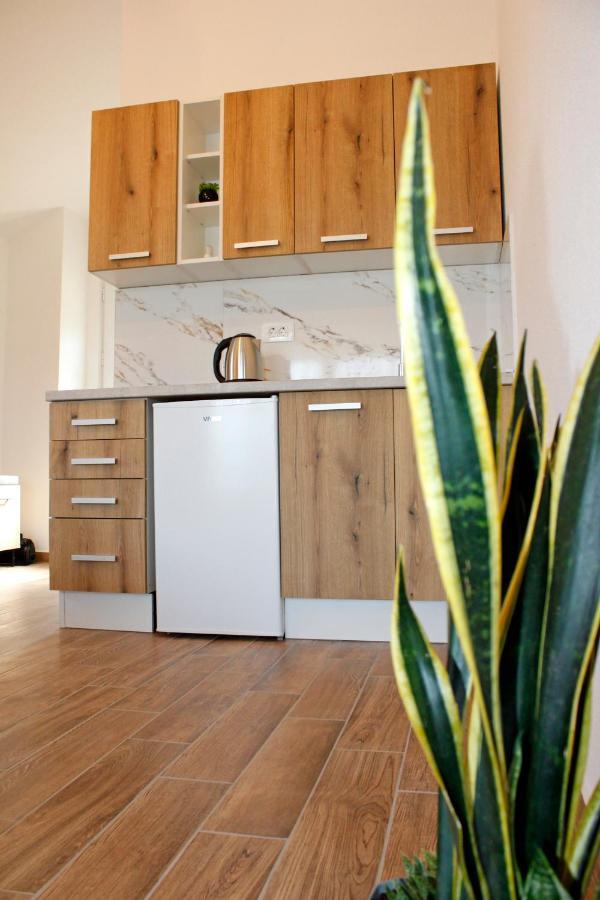 Sunny Side Apartments Rijeka Crnojevića Extérieur photo